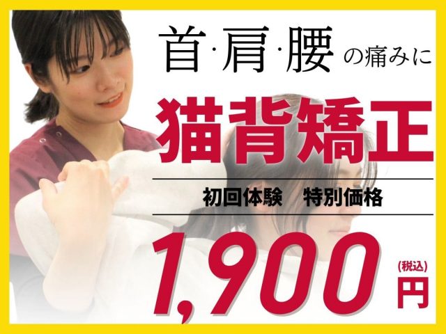 骨盤矯正コース